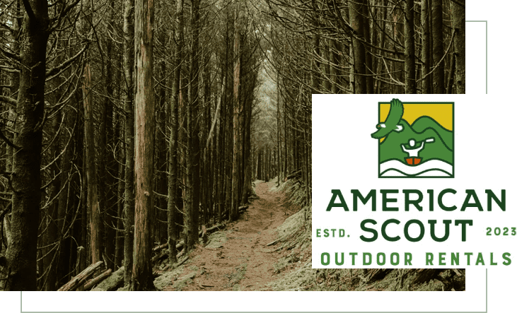 A trail in the woods with an american scout logo on top.